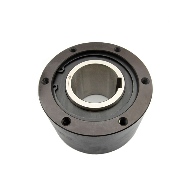 BS One Way Sprag Clutch