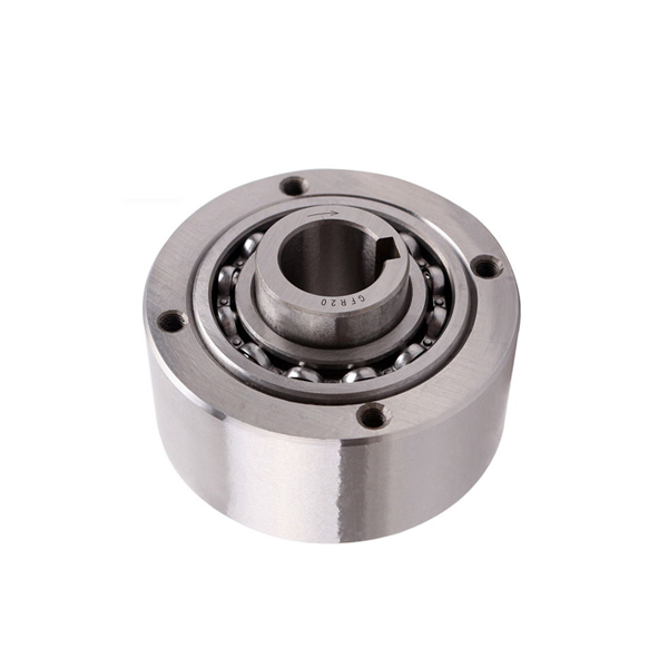 CKZF-B Sprag Type Freewheel Backstop Clutch