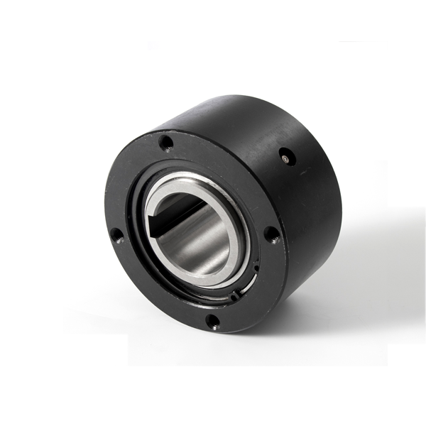 BS-HS Series One Way Cam Clutch