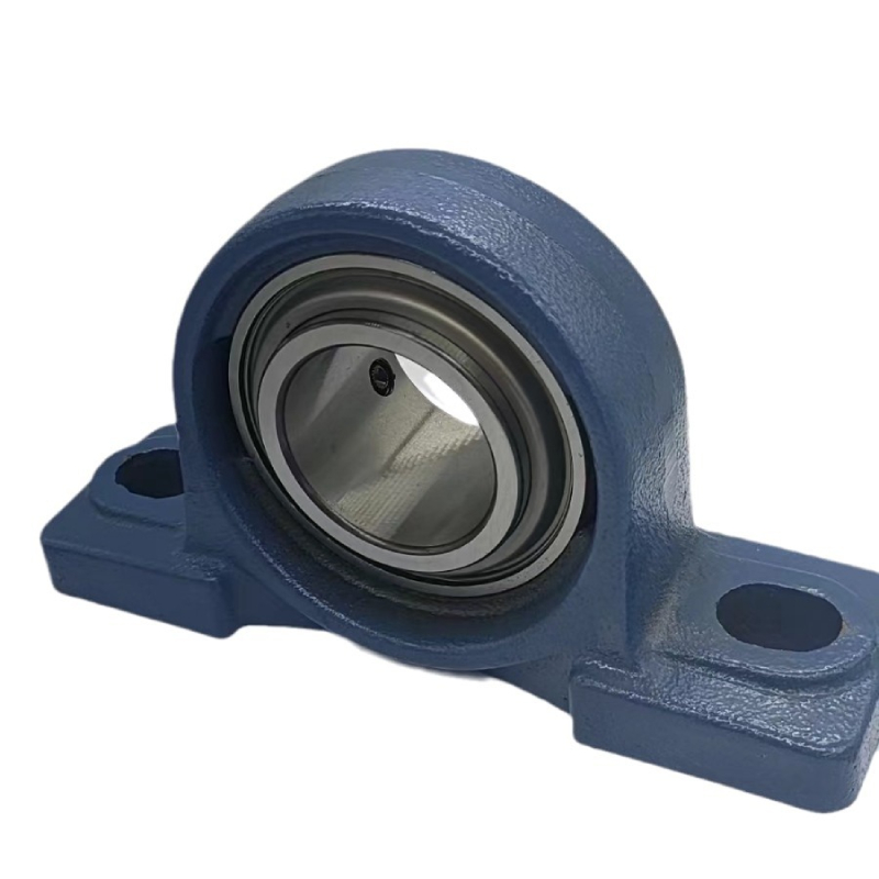 custom 6010 c3 bearing