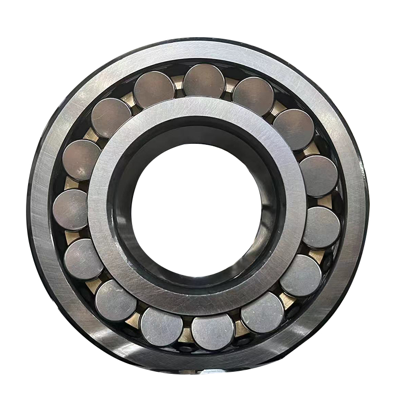 6309 zz bearing